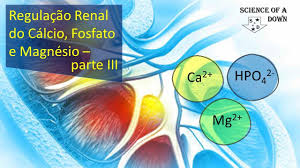 Regulacao Renal Do Calcio Do Fosfato E Do Magnesio Parte 3 Youtube