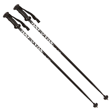 Wsd Alpine Downhill Ski Poles