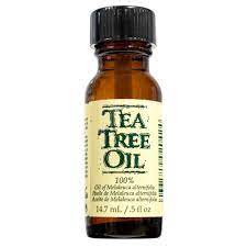 Gena Tea Tree Oil Of Melaleuca 0 5 Fl Oz Tea Tree Oil Tea Tree Oil Skin Tree Oil