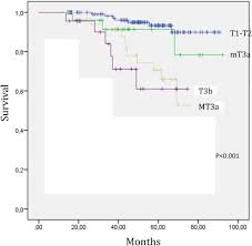 In 2016, we looked at the candiolo risk stratification system for radiation therapy. Mri Detected Extaprostatic Extension Epe In Prostate Cancer Do All T3a Patients Have The Same Outcomes Sciencedirect