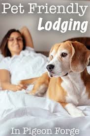 Pigeon Forge Pet Friendly Lodging Hotels Cabins Campgrounds More Pet Friendly Hotels Pet Friendly Cabins Pets