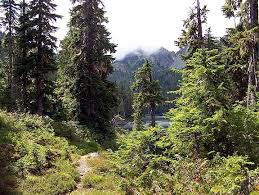 News on baby dee events and updates www.iamastick.com. Mildred Lakes Washington Trails Association