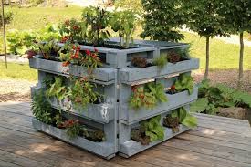 Pin On Pallet Garden