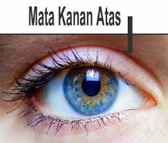 Sakit kepala akibat migrain seringnya terasa berdenyut dan hanya terpusat di salah satu sisi kepala, misalnya sebelah kanan. Mata Sebelah Kiri Bawah Kedutan Detik Kesehatan