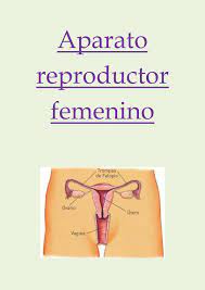 We did not find results for: Calameo Aparato Reproductor Femenino