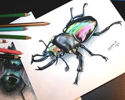 Rainbow Stag Beetle Sunniva Myster Beetle Drawing Insect Art Color Pencil Art