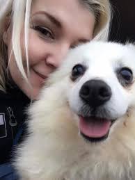 Donated cushion for church anniversary