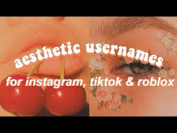 Aesthetic Usernames Username Ideas For Instagram Tiktok Roblox Youtube In 2020 Aesthetic Usernames Aesthetic Names For Instagram Name For Instagram