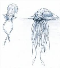 Tentacool and Tentacruel