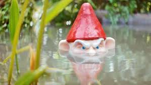 Pin On Gnomes