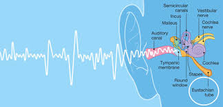 How to stop crackling sound in ears. Plugged Ears What You Need To Know