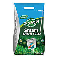 Once in a while i will see a lawn with some bare spots in st. Verve Shady Lawn Seed 5kg Diy At B Q