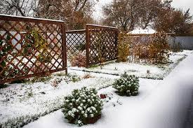 With string lines, and wire mesh and brackets, you can design your own trellis within the exterior of the fence easily, and practically! 25 Awesome Garden Trellis Ideas Trees Com