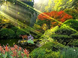 If you're looking for the best 3d nature wallpaper then wallpapertag is the place to be. 3d Nature Wallpaper Hd For Pc Free Download Doraemon