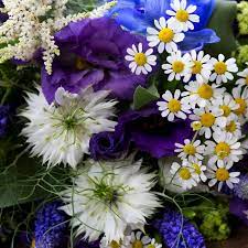 We have the best ideas for your wedding bouquet, corsages, boutonnieres, centerpieces, and more ceremony and reception flowers. Blue Bridal Bouquets
