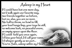 Weimaraner Dog Pet Loss Memorial Bereavement Sympathy Magnetic Card Gift Dog Poems Pet Grief Weimaraner Dogs