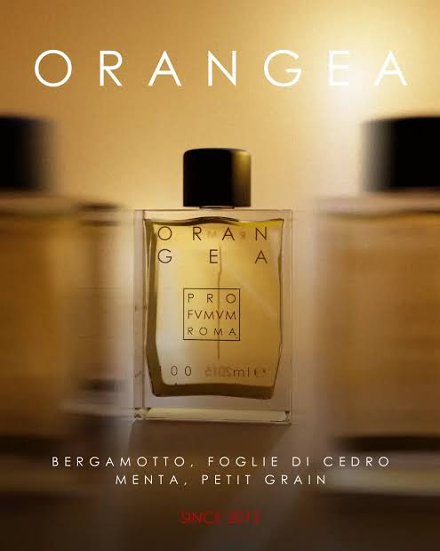 Orangea | Eau de Parfum | Profumum Roma Official