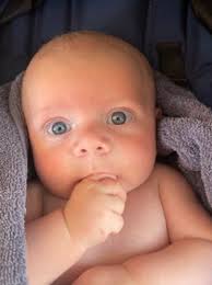 80+ babies: Who is Bundaberg's cutest baby for 2023