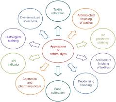 1 Applications Of Natural Dye Chart From Shahid M Islam