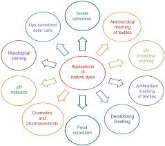 1 Applications Of Natural Dye Chart From Shahid M Islam