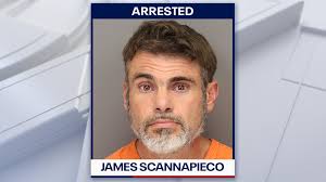 Tampa man accused of stealing nearly $450k from Pinellas County banks using  20 different IDs