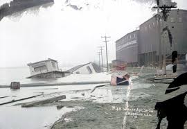 Image result for Red Marina 1993 UMM