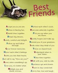 Birthday Pick Up Lines For Best Friend Best Friend Quotes Friends Quotes Birthday Quotes For Best Friend Best Friend Quotes