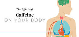 The Effects of Caffeine on Your Body