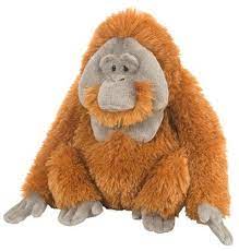 Wild Republic Cuddlekin Orangutan 12 Plush Wild Republic Http Www Amazon Com Dp B00bb807oe Ref Cm Teddy Bear Stuffed Animal Plush Stuffed Animals Orangutan