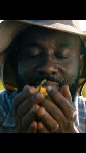 The Farmer, new spot for @gracefoods out now. , Much Respect to the team!  💚👨‍🌾, Director @nilus1x, Producer @tashlee876, Agency @thelabjamaica ,  DoP + Colourist @jambredz , Production Coordinators ...