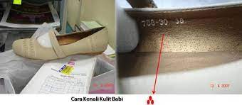Asal usul orang kulit hitam. Kasut Kulit Babi Rimbabara