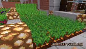 The pixelmon modpack 1.16.5 is a very well known mod pack for minecraft that many people use. Simple Farming Mod 1 17 1 1 16 5 1 15 2 1 14 4 Agriculture Minecraft