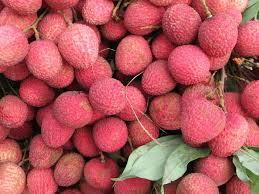 Pourquoi Manger Du Litchi Fruits Exotiques Litchi Fruit Aliments Bons Pour La Sante