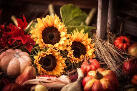 Thanksgiving Wallpaper Hd Free Download 2019 Thanksgiving Wallpaper Happy Thanksgiving Wallpaper Thanksgiving Images
