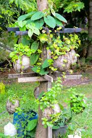 Splendid garden design ideas sri lanka sixprit decorps as well. Iesl Water Forum