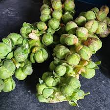 Que J Aime Le Week End Pouvoir Prendre Son Temps Apprecier Le Temps Avec Ma Famille Et Les Amis Allez Chez Legumes Anciens Legumes Hiver Choux De Bruxelles