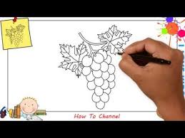 Begin to draw a heart, but crop the base off ; How To Draw A Bunch Of Grapes Easy Step By Step For Kids Beginners 2 Youtube