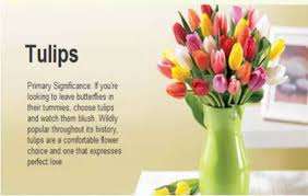 Collection by dounia m • last updated 5 weeks ago. Tulips Image Quotation 3 Sualci Quotes