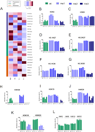 We would like to show you a description here but the site won't allow us. Gene Co Expression And Histone Modification Signatures Are Associated With Melanoma Progression Epithelial To Mesenchymal Transition And Metastasis Clinical Epigenetics Full Text