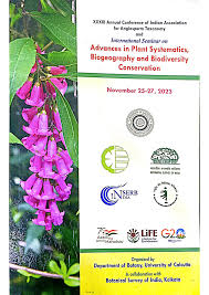 Image result for Coelachne