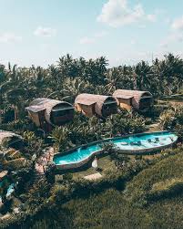 So i've compiled a list of some of the best resorts in ubud for you. Unique Places To Stay In Ubud Instagrammable Bali Hotels Solarpoweredblonde