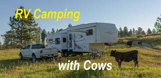 Rv camping black hills sd. Black Hills National Forest Sd Rv Boondocking Camping With Cows Roads Less Traveled