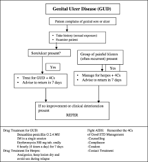 Image result for chancroid