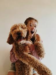 Pinterest Ritabgfernandes316 Dog Lovers Animals Cute Dogs