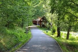 Acestor sectoare li se adauga o expozitie de sculptura moderna in lemn, cu opere realizate de reputati artisti romani si straini, inspirate din universul satului traditional, careia ii sunt destinate 3 ha Impresii Despre Muzeul Civilizatiei Populare Traditionale Astra Din Sibiu Happy Amy