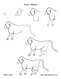 Draw An African Grassland Animal Drawings Baboon Drawing Lessons