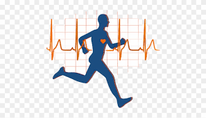 Not only do recreational activities provide great exercise, but they also have the potential to be engaging activities that can help you center yo. Physically Active Lifestyle Timeline Timetoast Timelines Does Running Help Your Heart Free Transparent Png Clipart Images Download