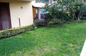 Appartamenti in vendita da privato in provincia di caserta (304) ville singole e a schiera in vendita da privato in provincia di caserta (154) case indipendenti in vendita da privato in provincia di caserta (92) nuove costruzioni in vendita da privato in provincia di caserta (37) palazzi/stabili in vendita da privato in provincia di caserta (27) Appartamento Caserta Vendita 575 000 Zona Casolla 200 Mq Cambiocasa It