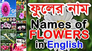 This alphabetical list of flower names will make it easy to search for names you know (to check spelling) or to find new ones. Flowers Name Bangla English Language Learn Flowers Name In English To Bangla For Kids Youtube