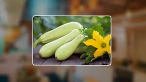 लौकी खरीदते वक्त न करें ये गलतियां, वरना हो सकते हैं पैसे बर्बाद | things  keep in mind while buying lauki | HerZindagi